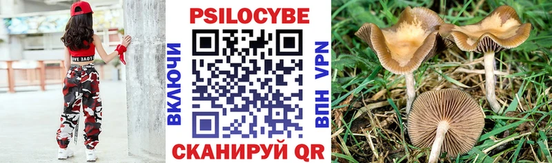 где купить наркоту  Шарыпово  Псилоцибиновые грибы Magic Shrooms 