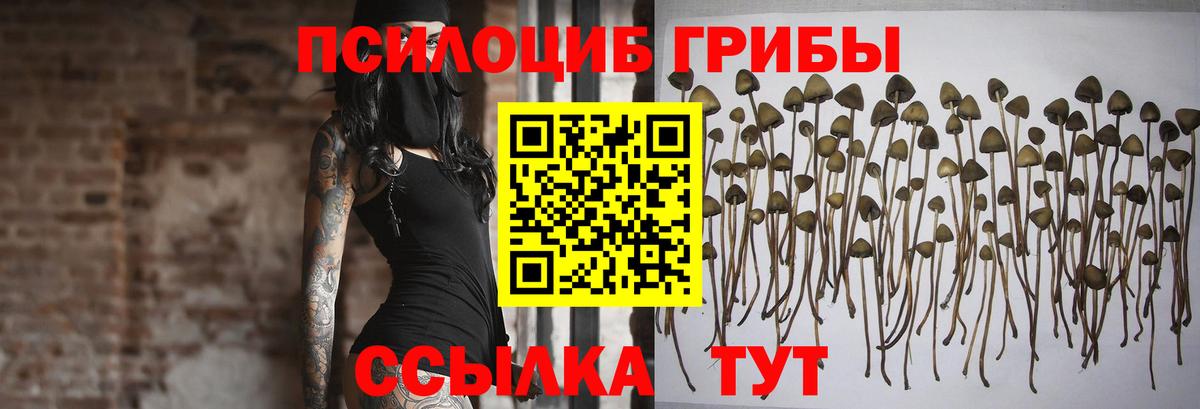 Галлюциногенные грибы MAGIC MUSHROOMS  Шарыпово  Галлюциногенные грибы ЛСД 